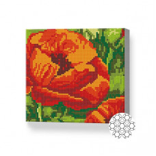 Мак, 20x20 см, алмазная мозаика