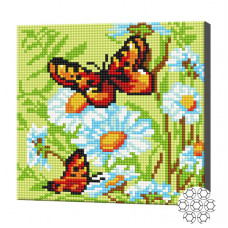Бабочки на ромашках, 20x20 см, алмазная мозаика