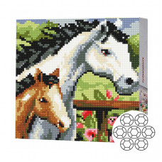 Лошадка и жеребенок 20x20 см Алмазная мозаика