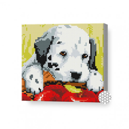 Cățeluș dalmațian, 20x20 cm, mozaic cu diamante