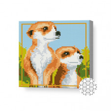 Алмазная мозаика 20x20 см Сурикаты