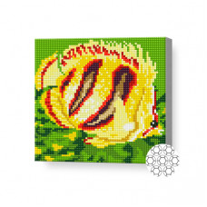 Желтая рыбка 20x20 см, алмазная мозаика