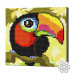 Tucan, 20x20 cm, mozaic cu diamante