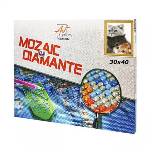 Trei frati mustaciosi 30x40 cm Mozaic cu diamante GB83211