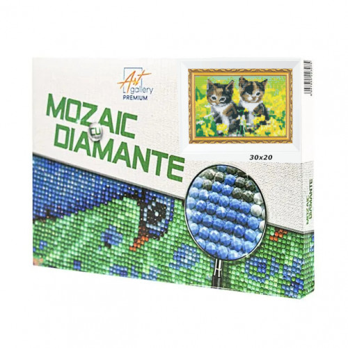 Mozaic cu diamante 20x30 cm Doi frati pufosi