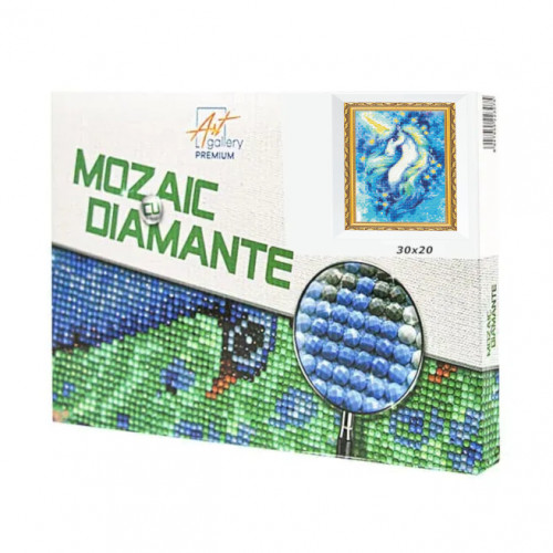 Mozaic cu diamante 20x30 cm Calut magic