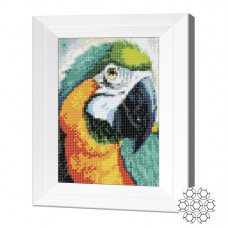 Алмазная мозаика 20x30 см Попугай Ара