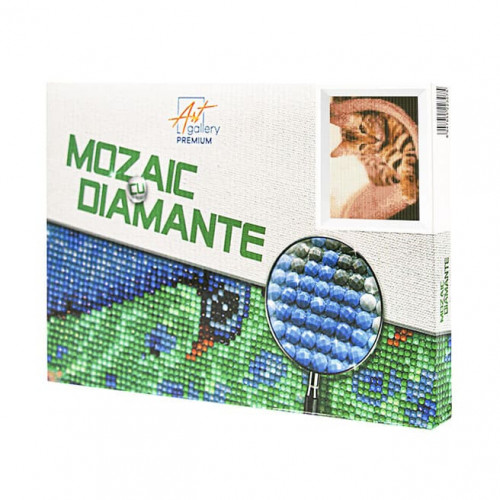 Motan vărgat, 20x30 cm, mozaic cu diamante