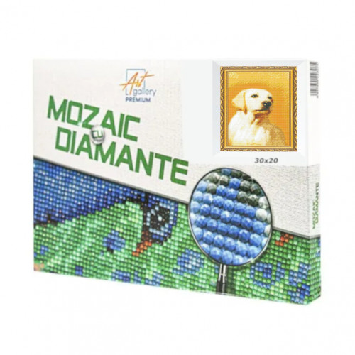 Mozaic cu diamante 20x30 cm Labrador