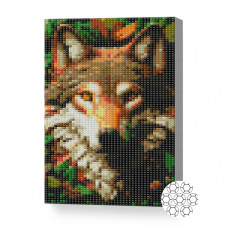 Дружелюбный волк, 20x30 см, алмазная мозаика