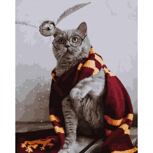 Котик ловец снитча