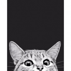 Кошачья охота