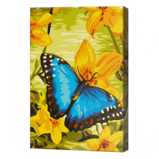 Pictura pe numere 20x30cm Fluture pe narcis