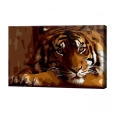 Серьезный тигр, 20x30 см, картина по номерам