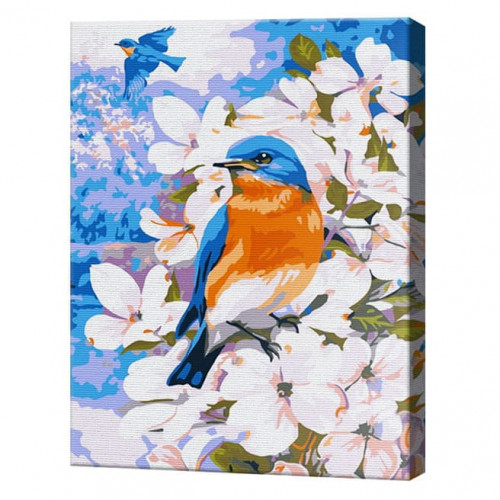 Pasăre pe o ramură înflorită, 30x40 cm, pictură pe numere
