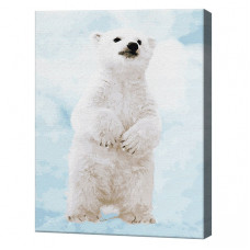 Pui de urs polar, 40x50 cm, pictură pe numere